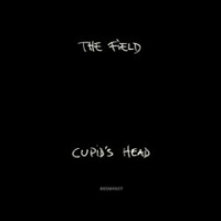 field_cupid