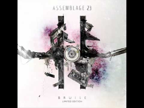 Assemblage 23 - Otherness
