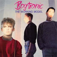 Boytronic - The Working Model