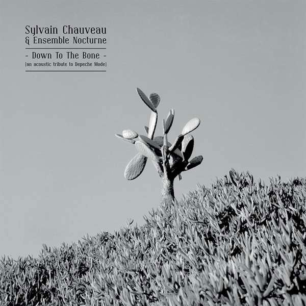 Sylvain Chauveau - Down to the Bone