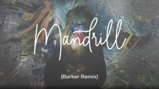 Martin Gore - Mandrill (Barker Remix)